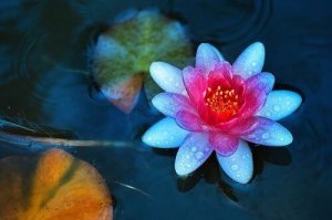 Taoizm: cztery zasady osiągania spokoju wewnętrznego