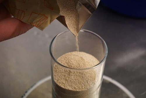 Jeśli chcesz wiedzieć Jak zwiększyć poziom serotoniny, dowiedz się jakie składniki odżywcze znaleźć można w drożdżach piwowarskich!