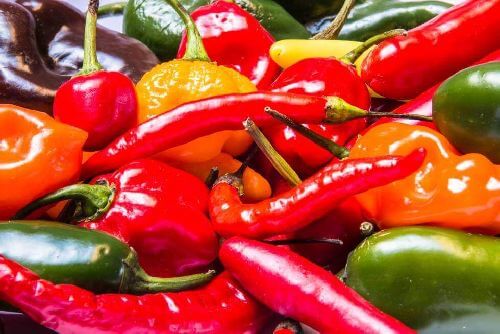 Eksperymenty z dietą