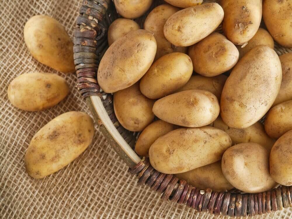 Kosz nieobranych ziemniaków