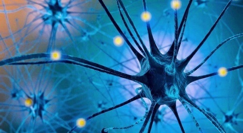 Serotonina to jeden z tzw. hormonów szczęścia.