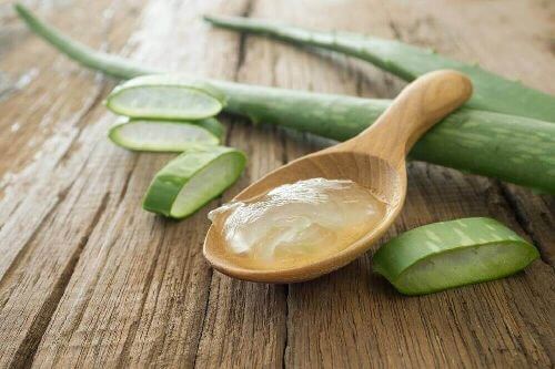 Aloes