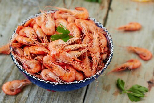 krewetki