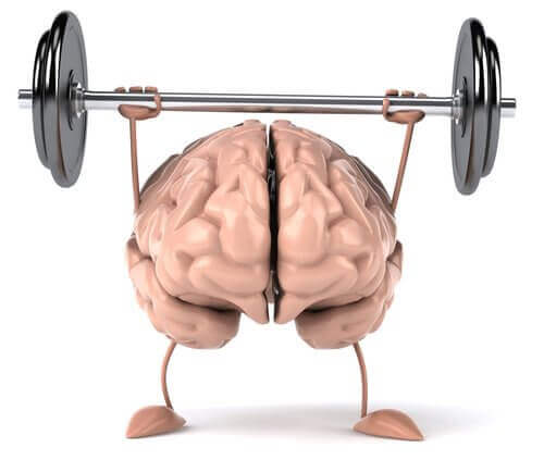 Ćwiczący mózg.
