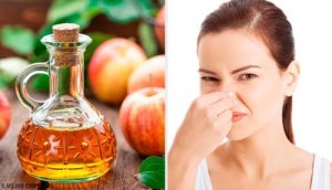 Naturalny dezodorant – 5 sposobów na zapach potu!