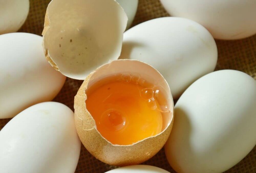 Po rozbiciu jajka zwróć uwagę na chalazę i białko.