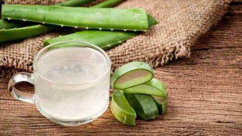 Aloes łagodzi stany zapalne i neutralizuje kwas żołądkowy.