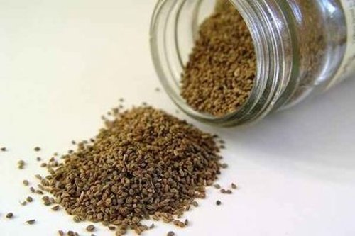 Suszone nasiona selera.