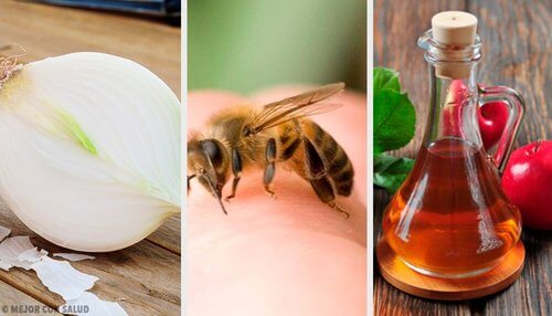 Użądlenia pszczół - 8 domowych lekarstw