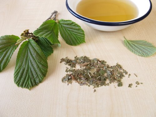 zakrzepy krwi - oczar