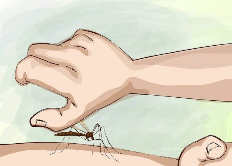 Ukąszenia komarów - jak ich uniknąć w nocy?