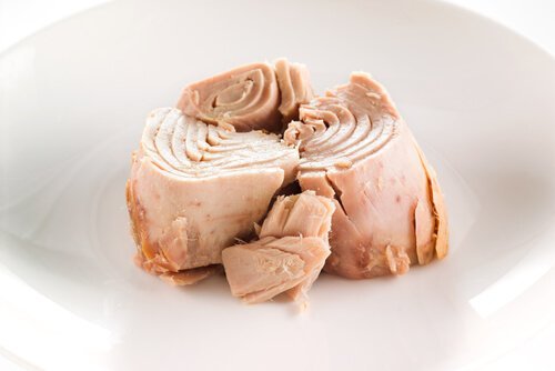Tuńczyk.