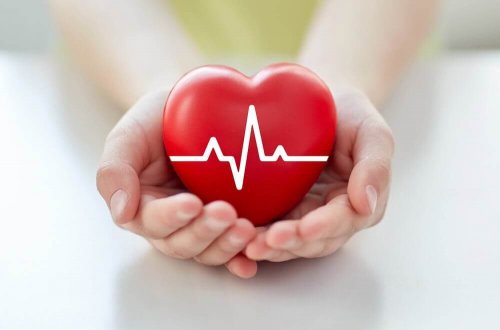 Zdrowie serca jest kluczowe dla całego organizmu.