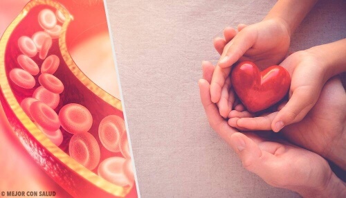 Wpływ cholesterolu na zdrowie – kompendium wiedzy