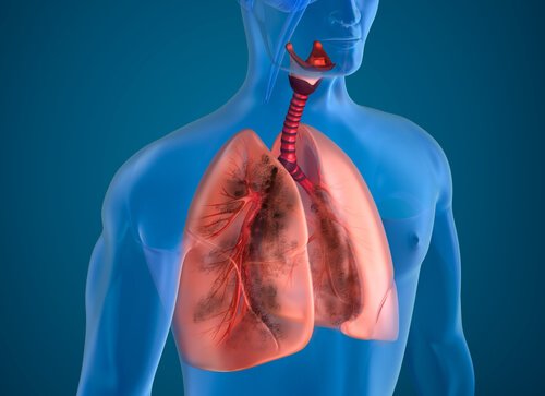 Oczyszczenie płuc – osiągnij je zmieniając dietę!