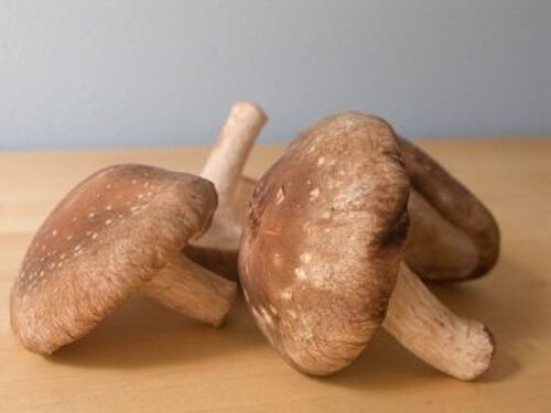 Pieczarki