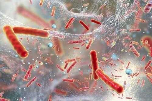 Infekcje bakteryjne