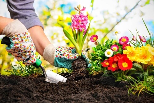 Dekorowanie małego ogródka zacznij od dokładnego rozplanowania pomysłów.