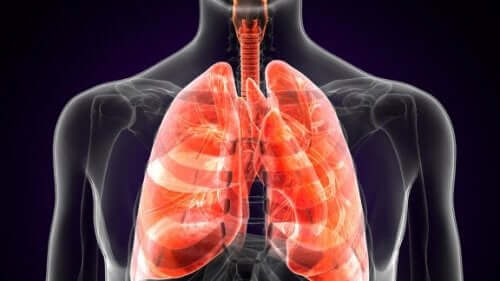Dżuma płucna – czym jest i jak się objawia ta choroba?