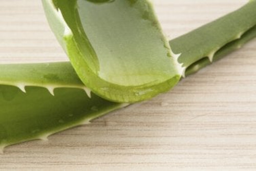 Aloes