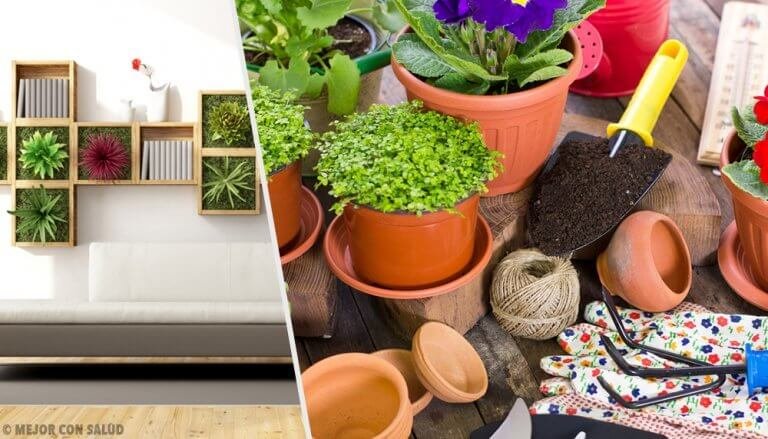 Dekorowanie roślinami - 10 pomysłów, jak ożywić dom