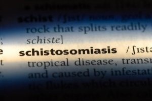 Schistosomatoza: co to jest i jak się rozwija