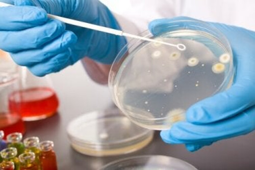 Środki przeciwdrobnoustrojowe w laboratorium