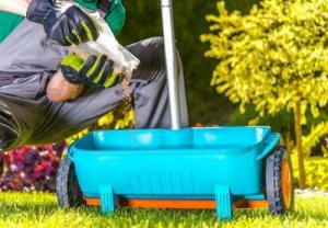 Naturalny nawóz do roślin - poznaj kilka ciekawych propozycji!