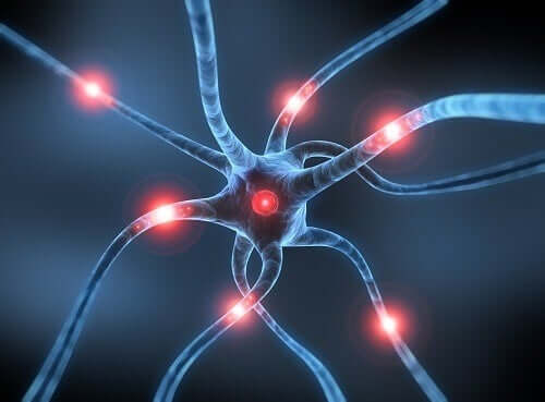 Neurony