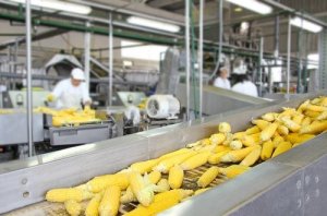 Procesy technologiczne - czy i jak wpływają one na żywność?