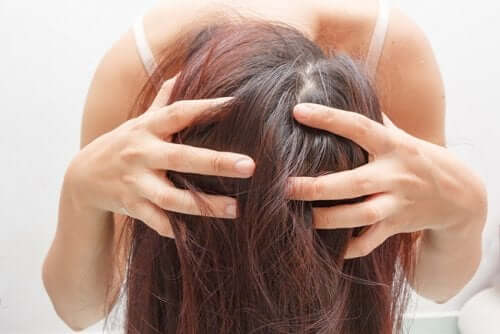 Rozmaryn w pielęgnacji włosów