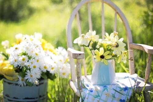 Letnie kwiaty – 6 propozycji dla Twojego ogrodu