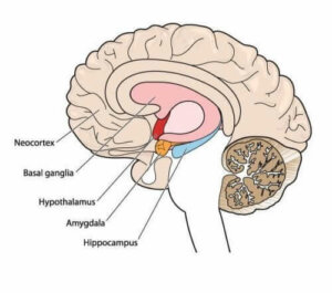Atetoza: jedno z powszechnych zaburzeń ruchowych
