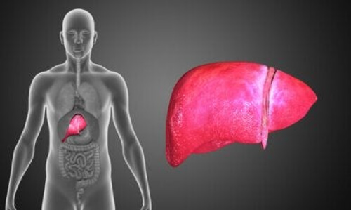 Atrezja żółciowa