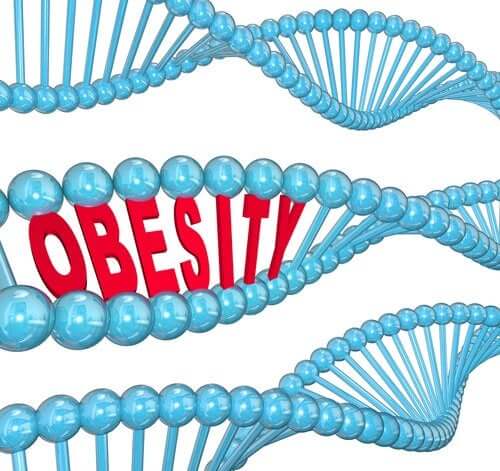 Gen otyłości - co na ten temat mówi nauka