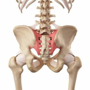 Hipermobilność stawu krzyżowo-biodrowego – co to takiego?
