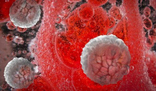 Hormony w organizmie