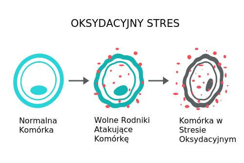 Stres oksydacyjny