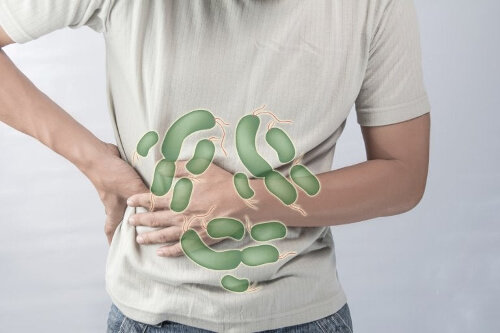 Mikrobiota