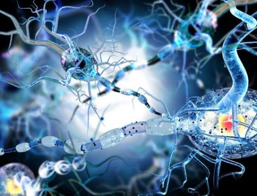 Neurony