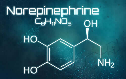Norepinefryna - co to jest i do czego służy?