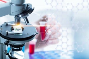 Płynna biopsja - na czym polega i kiedy się ją przeprowadza?