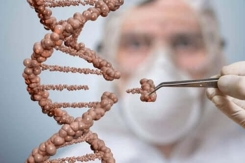 Cząsteczki DNA
