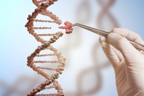 Struktura DNA