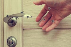 Jak długo może przetrwać koronawirus na typowych powierzchniach?