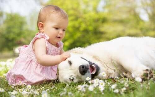 Małe dziecko z psem - co zrobić, gdy dziecko boi się zwierząt?