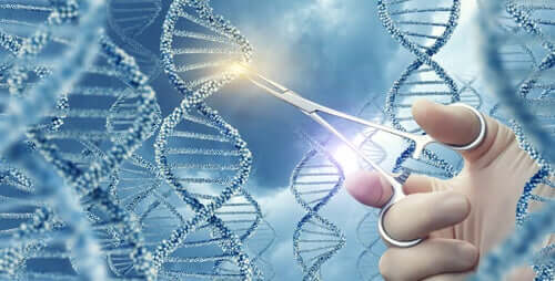 Mutacje genetyczne - poznaj bliżej te fascynujące zjawiska