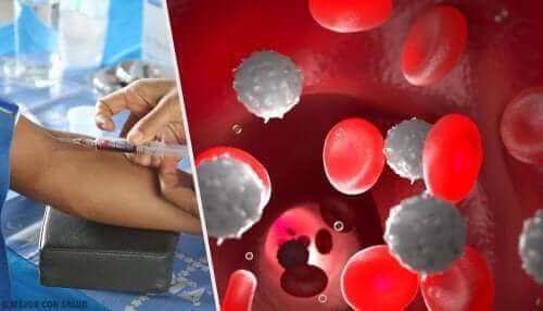 Białe i czerwone krwinki - analgetyki nieopioidowe mają skutki uboczne
