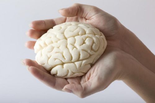 Ludzki mózg