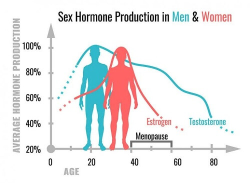 Hormony płciowe: jaka jest ich funkcja?